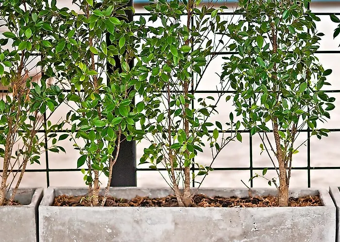Auberge de jeunesse Nilukn House Tha Phra *